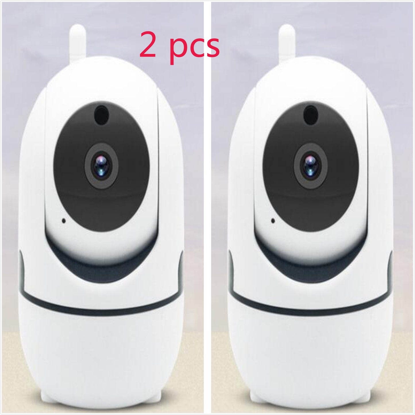 IP Surveillance Camera